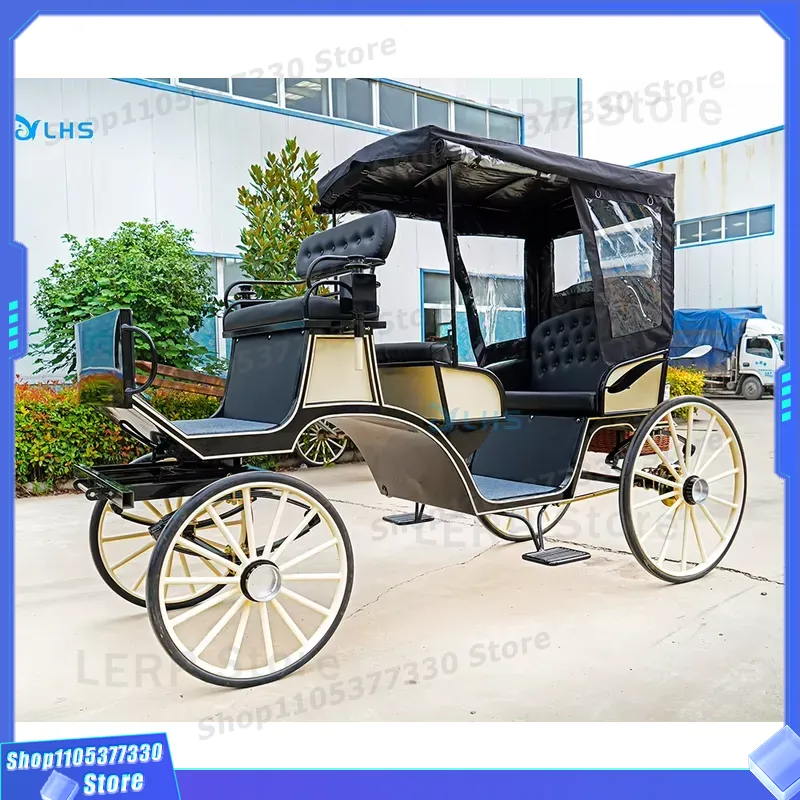 Carrozza Turistica Elettrica C - Power Tools Course recensione e prezzo